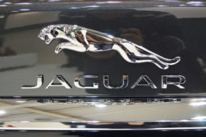 Jaguar_-_logo_MSP15-1 1