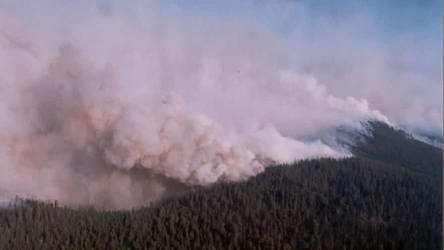 V Rusku hoří lesy o velikosti poloviny Nizozemska. Kouř dusí Sibiř i Ural. 1