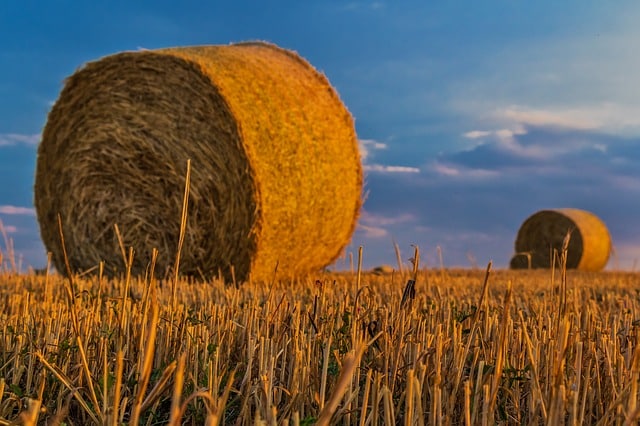 Ukrajinci nechtějí, aby se zemědělská půda prodávala cizincům. 1